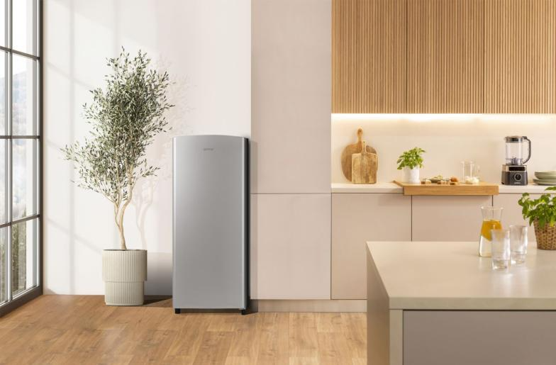 Hladnjak_gornji_zamrzivac_Gorenje_RB413EPS4_165L_0.png