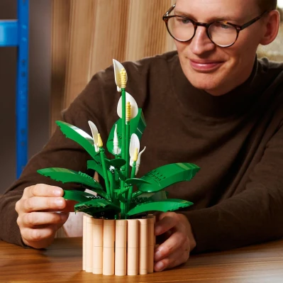 LEGO_BOTANICALS_11504_Mirni_ljiljan_0.jpg