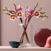 LEGO_BOTANICALS_11510_Grane_magnolije_0.jpg