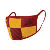 Maska_za_lice_Pyramid_International_HARRY_POTTER_(GRYFFINDOR)_dvostruko_pakiranje_0.jpg