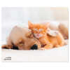 Podloga_za_mis_Speedlink_Silk,_Dog_&_Cat_1.jpg