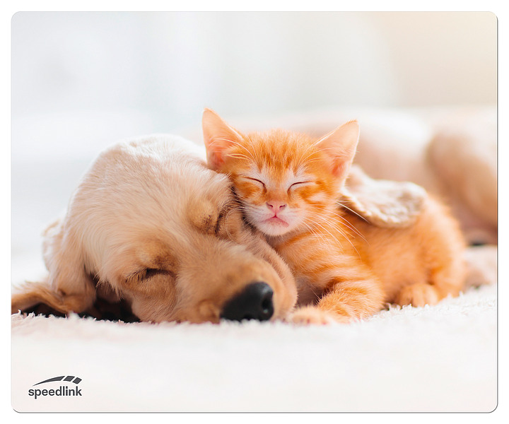 Podloga_za_mis_Speedlink_Silk,_Dog_&_Cat_1.jpg