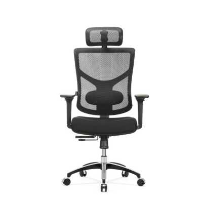 Stolica_Ergovision_Essent_Balance___ergonomska_uredska_0.jpg