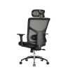 Stolica_Ergovision_Essent_Balance___ergonomska_uredska_2.jpg