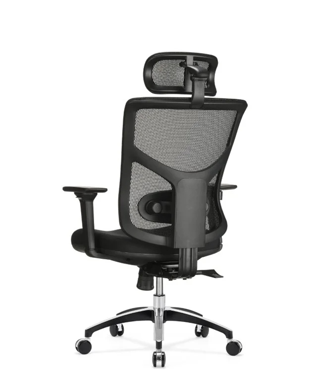 Stolica_Ergovision_Essent_Balance___ergonomska_uredska_2.jpg