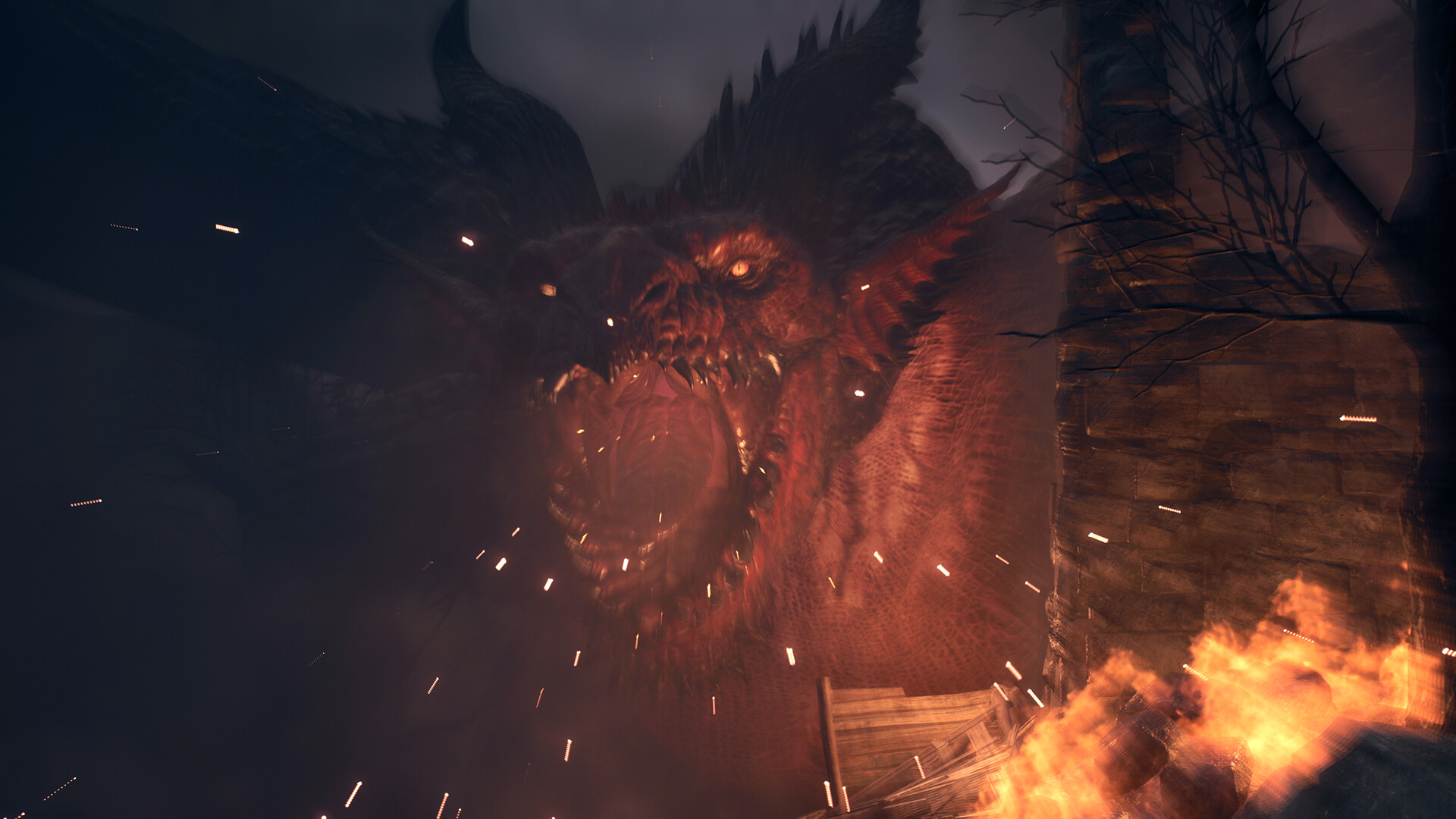Dragons_Dogma_2_Dark_Arisen_Master_Edition_(Nintendo_Switch_2)_(CIAB)_4.jpg