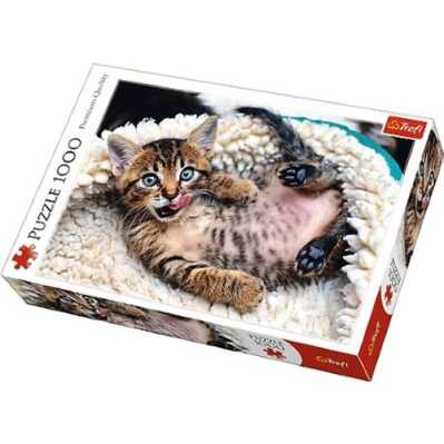 Puzzle_TREFL_1000_kom,_maca_10448_0.jpg