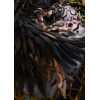 Figura_OVERLORD_1_7_SCALE_FIGURE___ALBEDO_(ENDING_VER__ART_BY_SO_BIN)_13.jpg