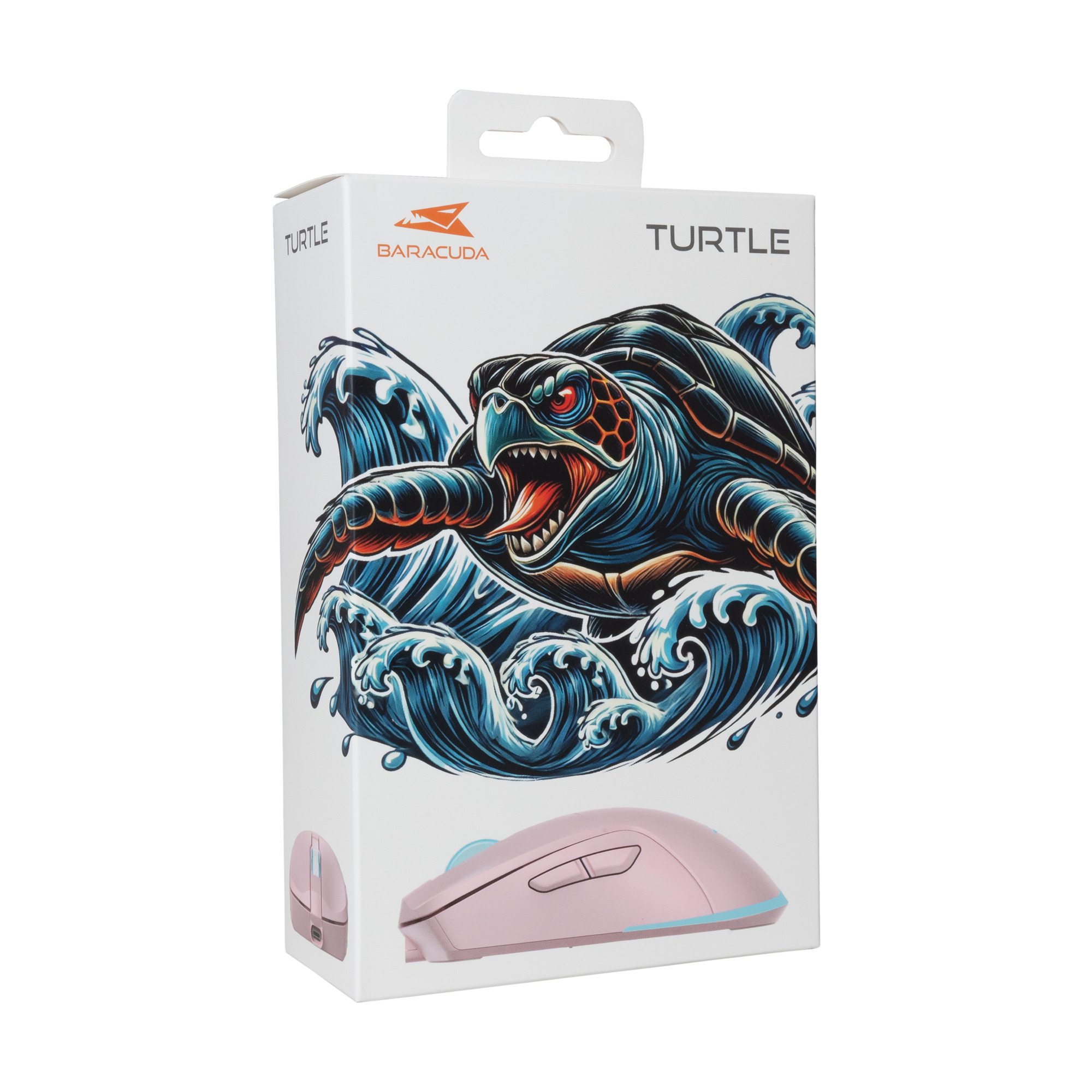Mis_Baracuda_BGM_124_Turtle,_Rozi_8.jpg