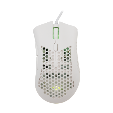 Mis_Baracuda_Coral_BGM_032,_Bijeli_1.png