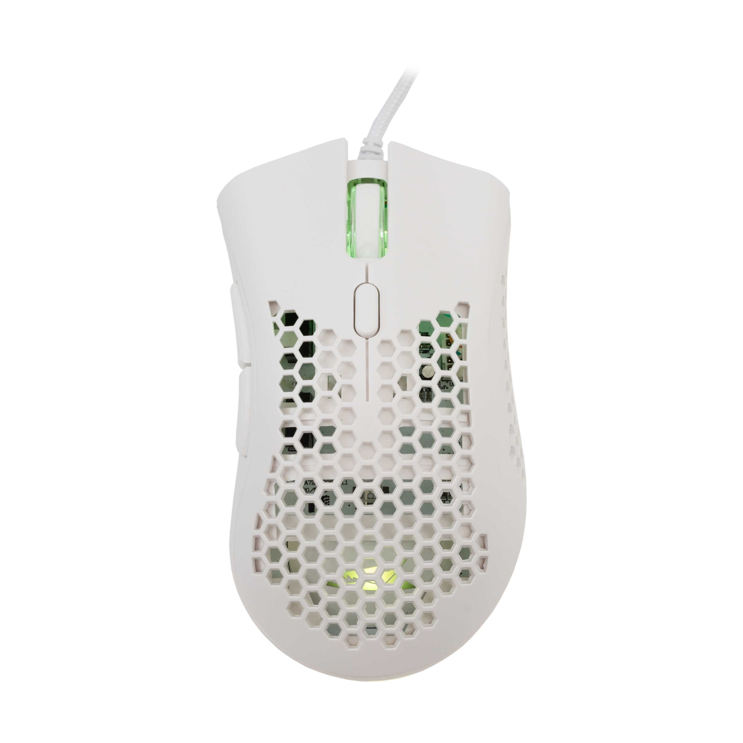 Mis_Baracuda_Coral_BGM_032,_Bijeli_1.png