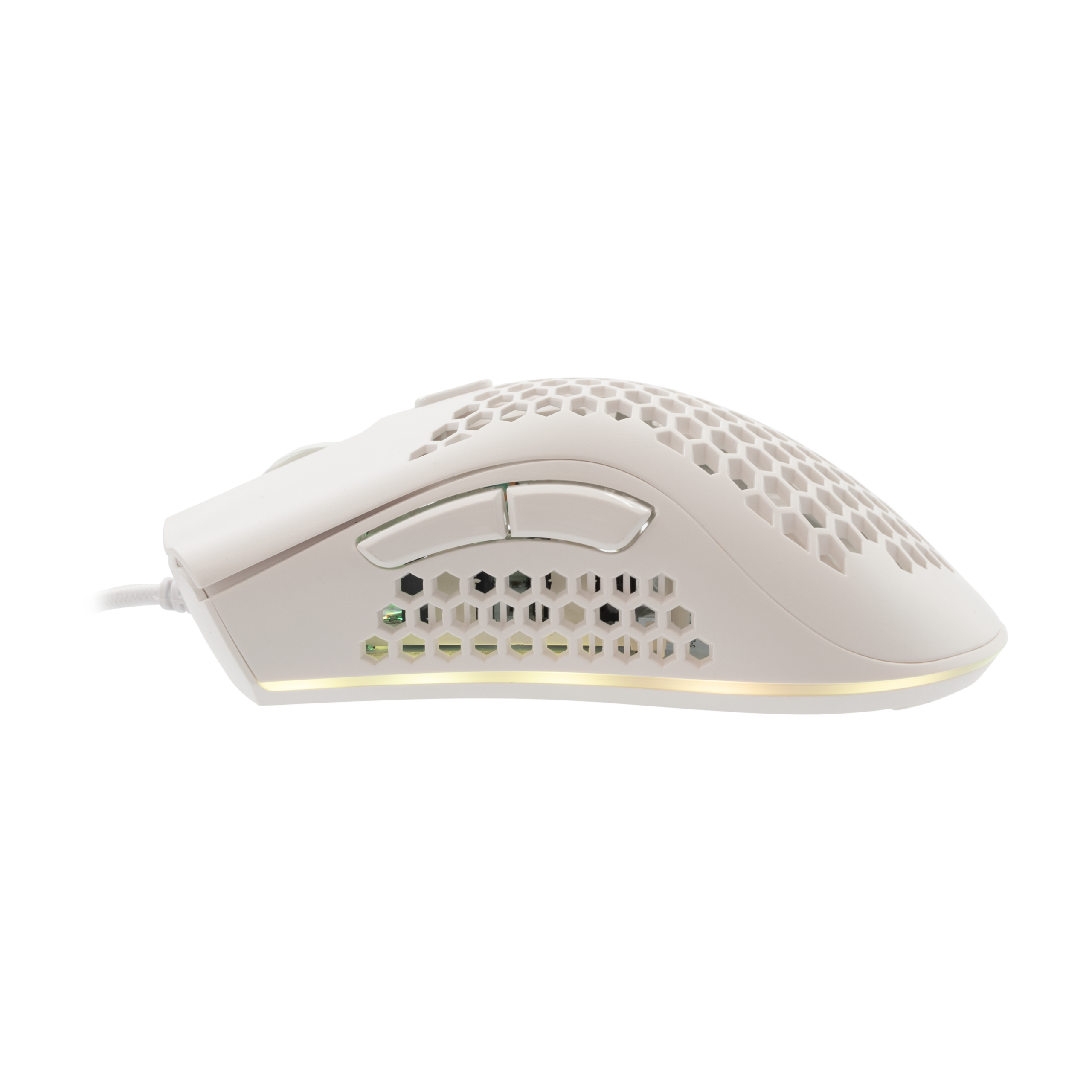 Mis_Baracuda_Coral_BGM_032,_Bijeli_2.png