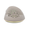 Mis_Baracuda_Coral_BGM_032,_Bijeli_5.png