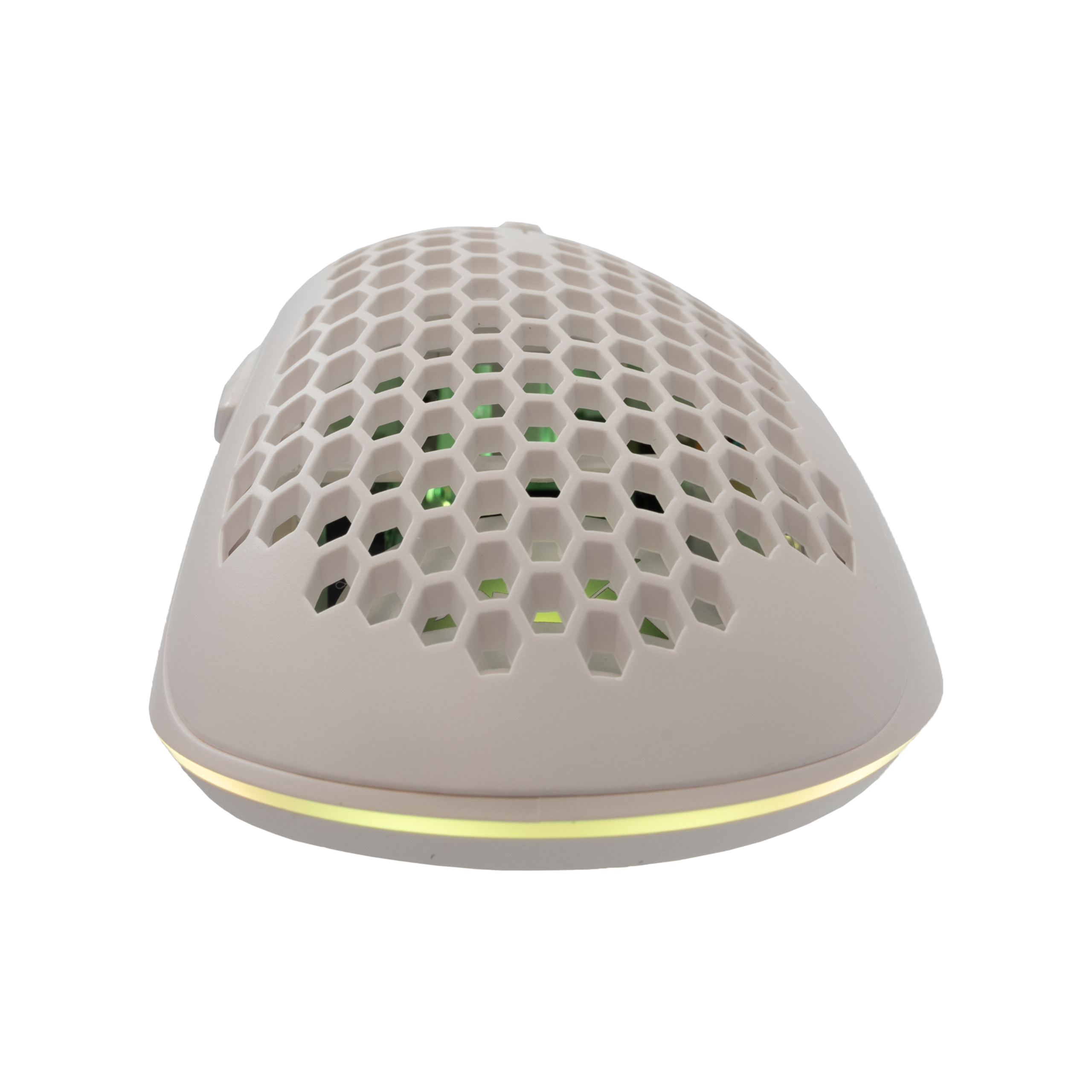 Mis_Baracuda_Coral_BGM_032,_Bijeli_5.png