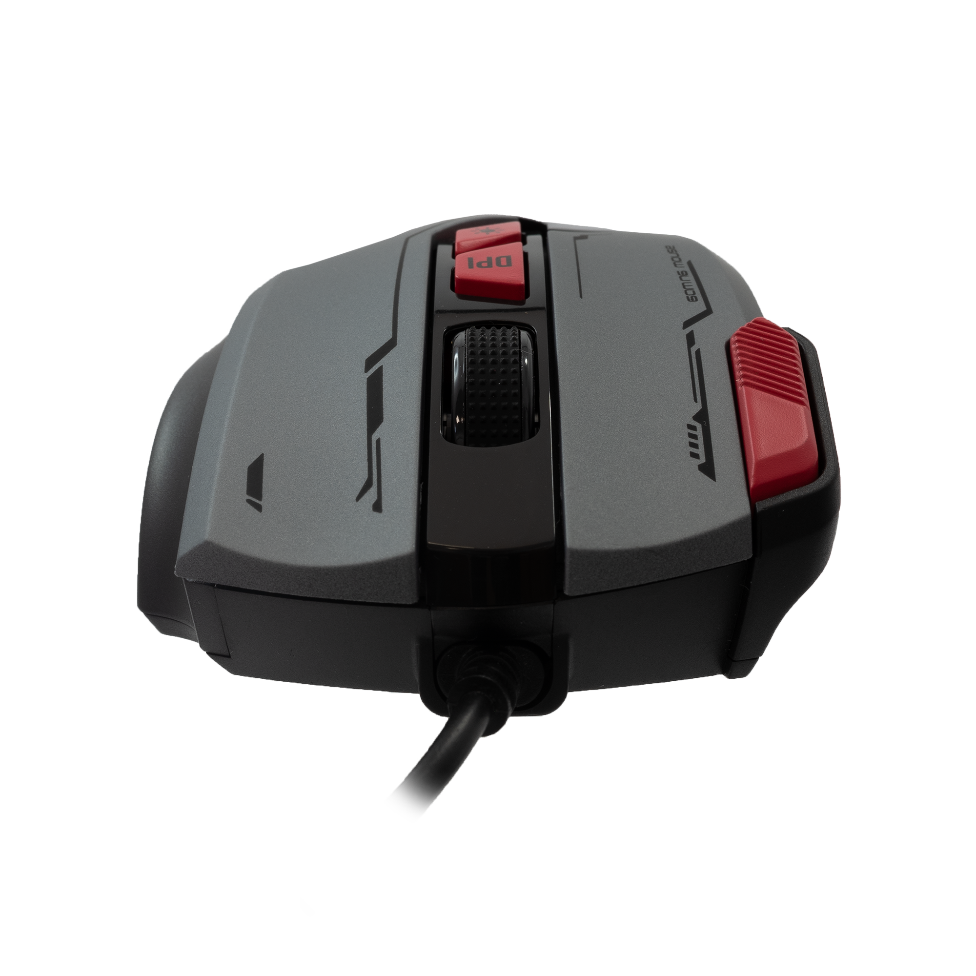 Mis_Baracuda_Manta_BGM_047,_Sivi_2.png