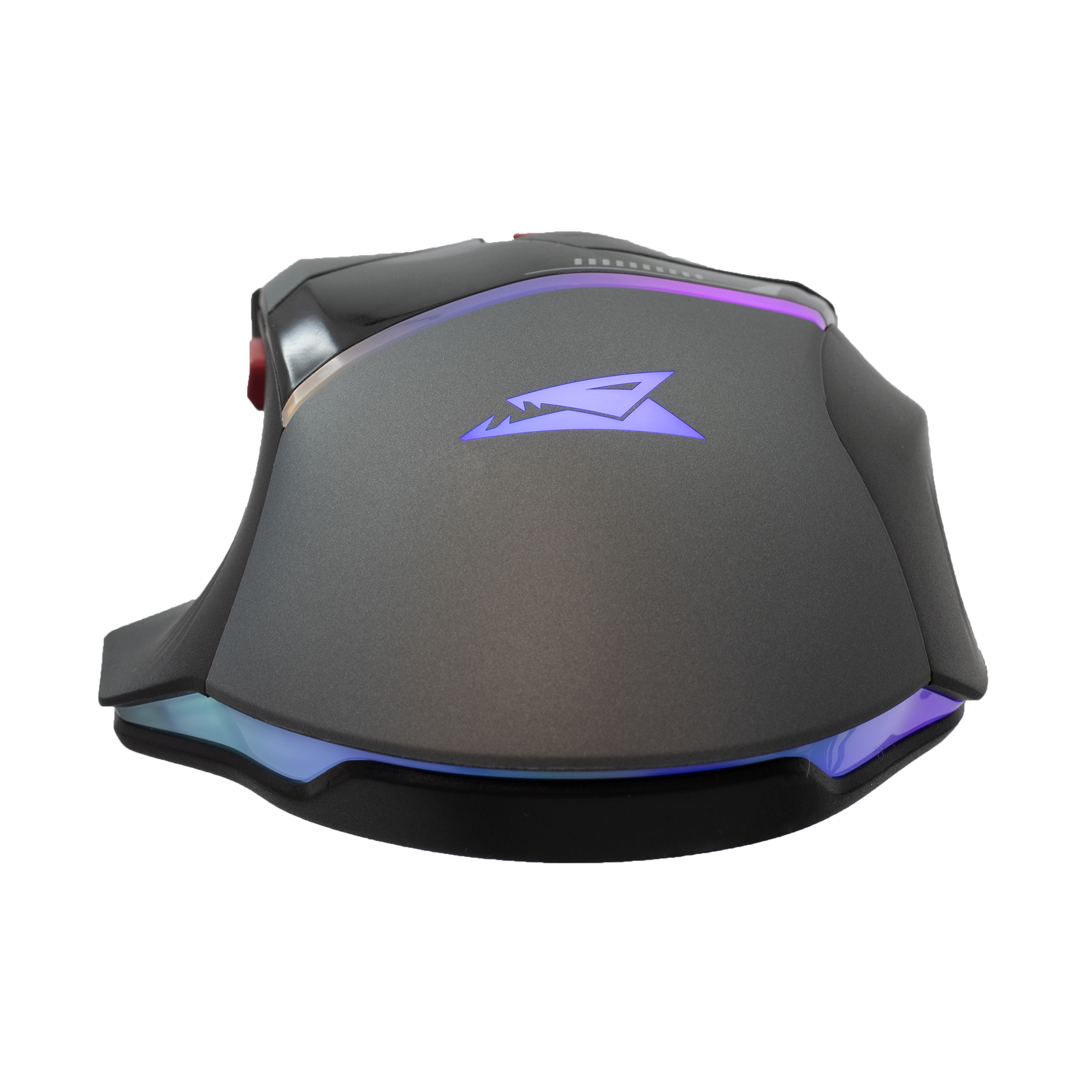 Mis_Baracuda_Manta_BGM_047,_Sivi_3.png