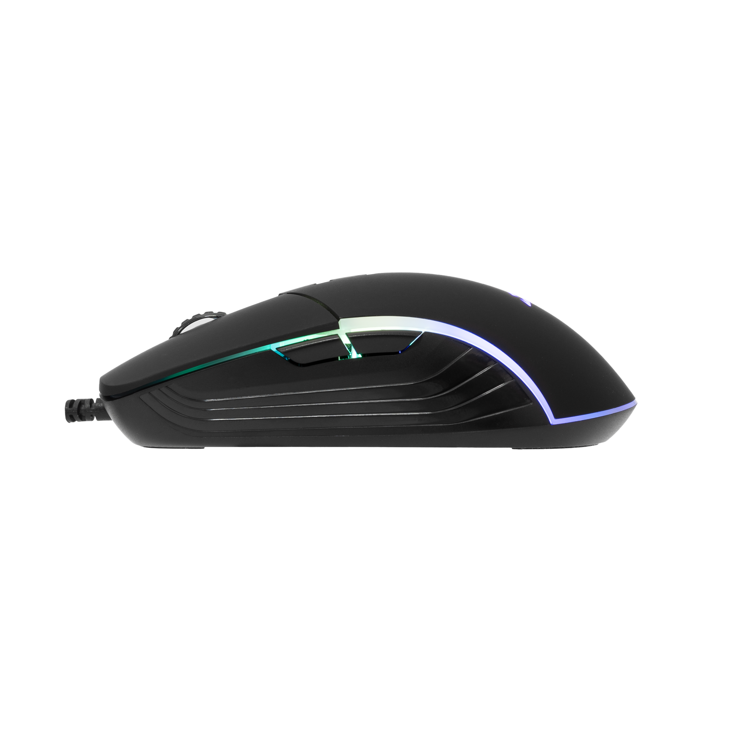 Mis_Baracuda_Nautilus_BGM_011,_Crni_4.png