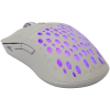 Mis_Baracuda_OCTOPUS_BGM_022,_Bijeli_3.png