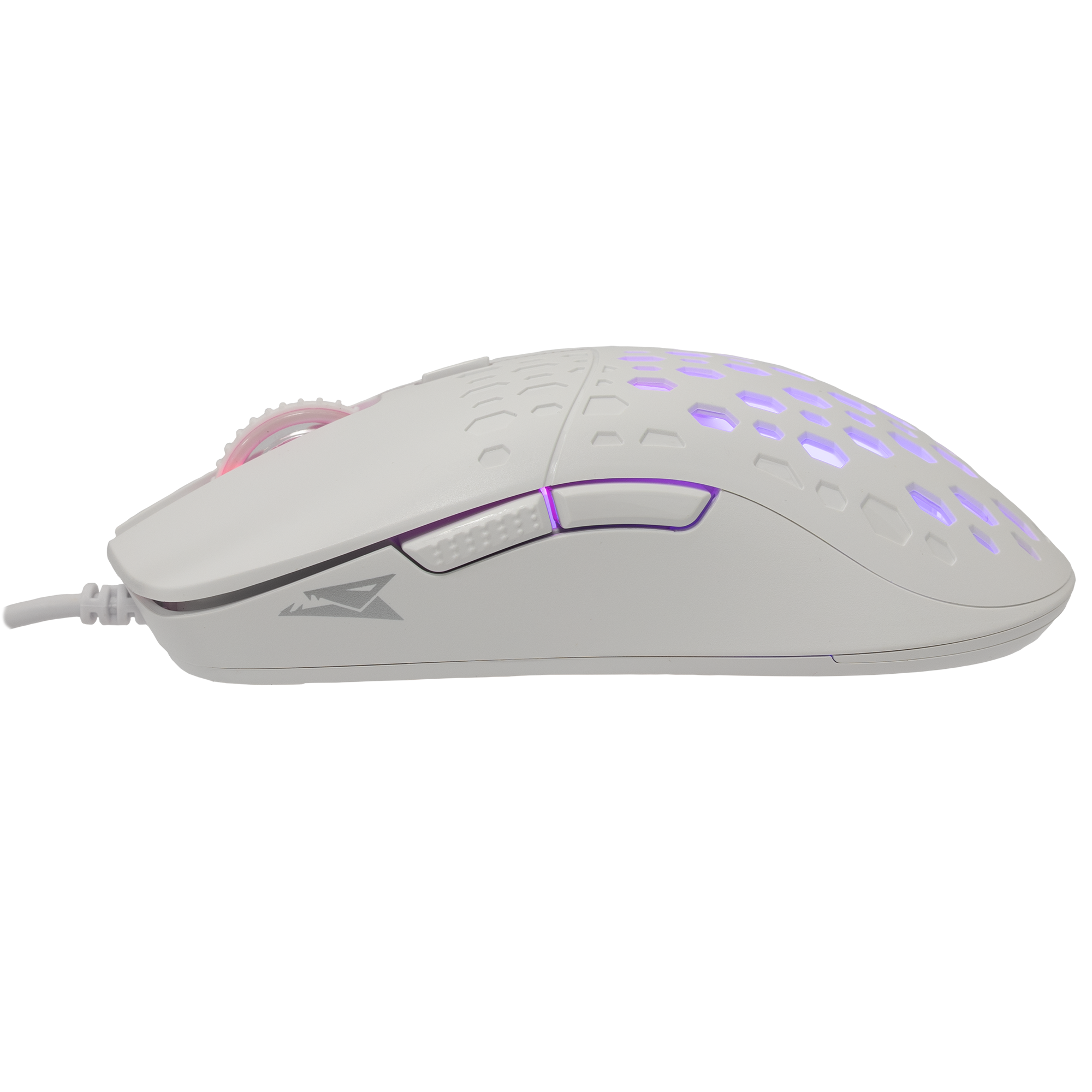 Mis_Baracuda_OCTOPUS_BGM_022,_Bijeli_4.png