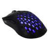 Mis_Baracuda_Octopus_BGM_021,_Crni_2.png