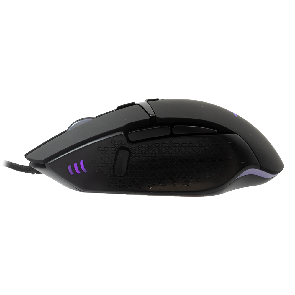 Mis_Baracuda_Raptor_BGM_051,_Crni_5.png
