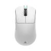 Mis_White_Shark_Bors_WGM_5021,_Bijeli_1.png