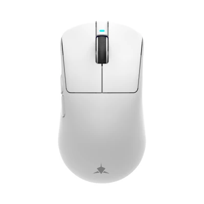 Mis_White_Shark_Bors_WGM_5021,_Bijeli_1.png