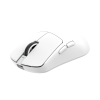 Mis_White_Shark_Bors_WGM_5021,_Bijeli_2.png