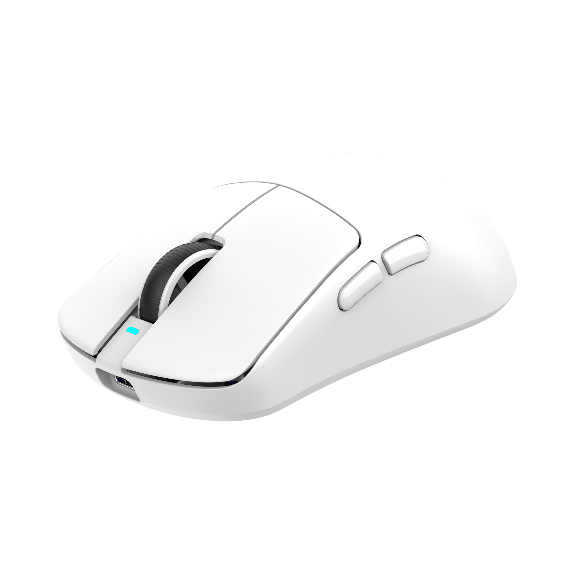 Mis_White_Shark_Bors_WGM_5021,_Bijeli_2.png