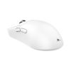 Mis_White_Shark_Bors_WGM_5021,_Bijeli_3.png