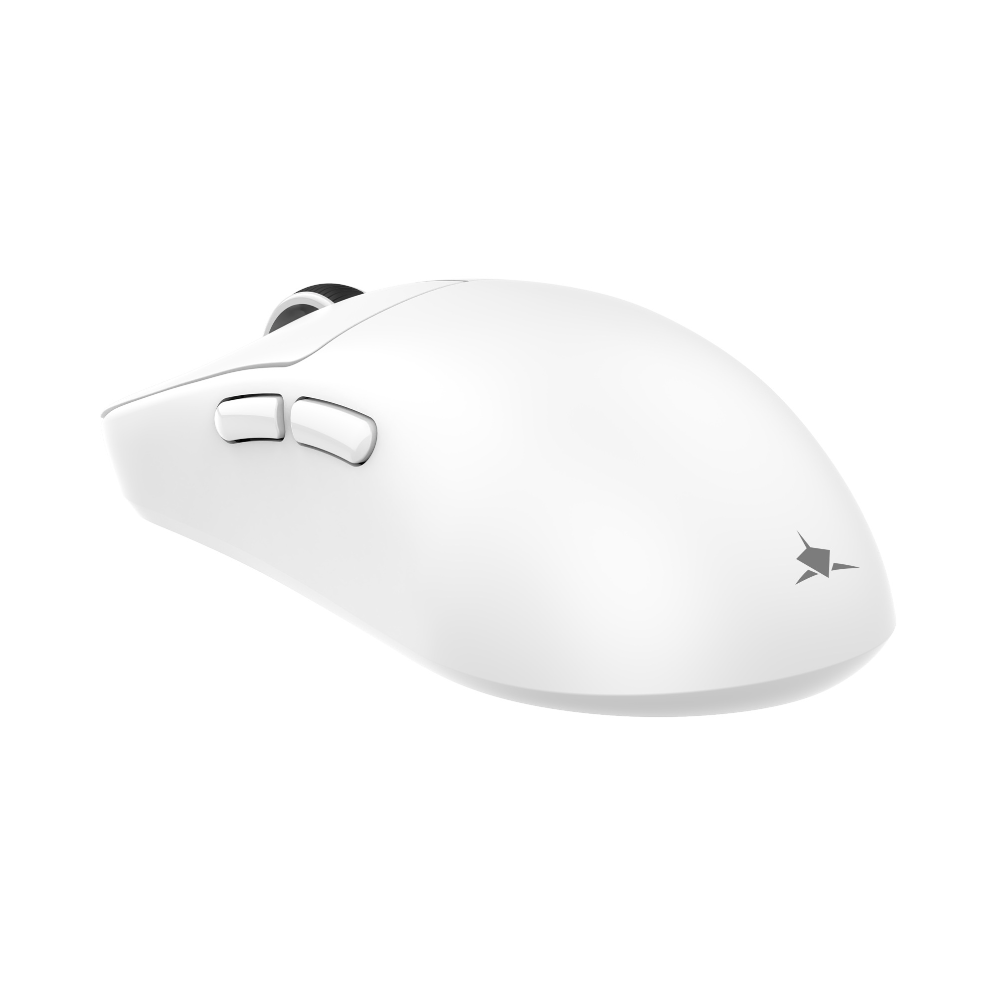 Mis_White_Shark_Bors_WGM_5021,_Bijeli_3.png