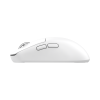 Mis_White_Shark_Bors_WGM_5021,_Bijeli_4.png