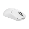 Mis_White_Shark_Bors_WGM_5021,_Bijeli_5.png
