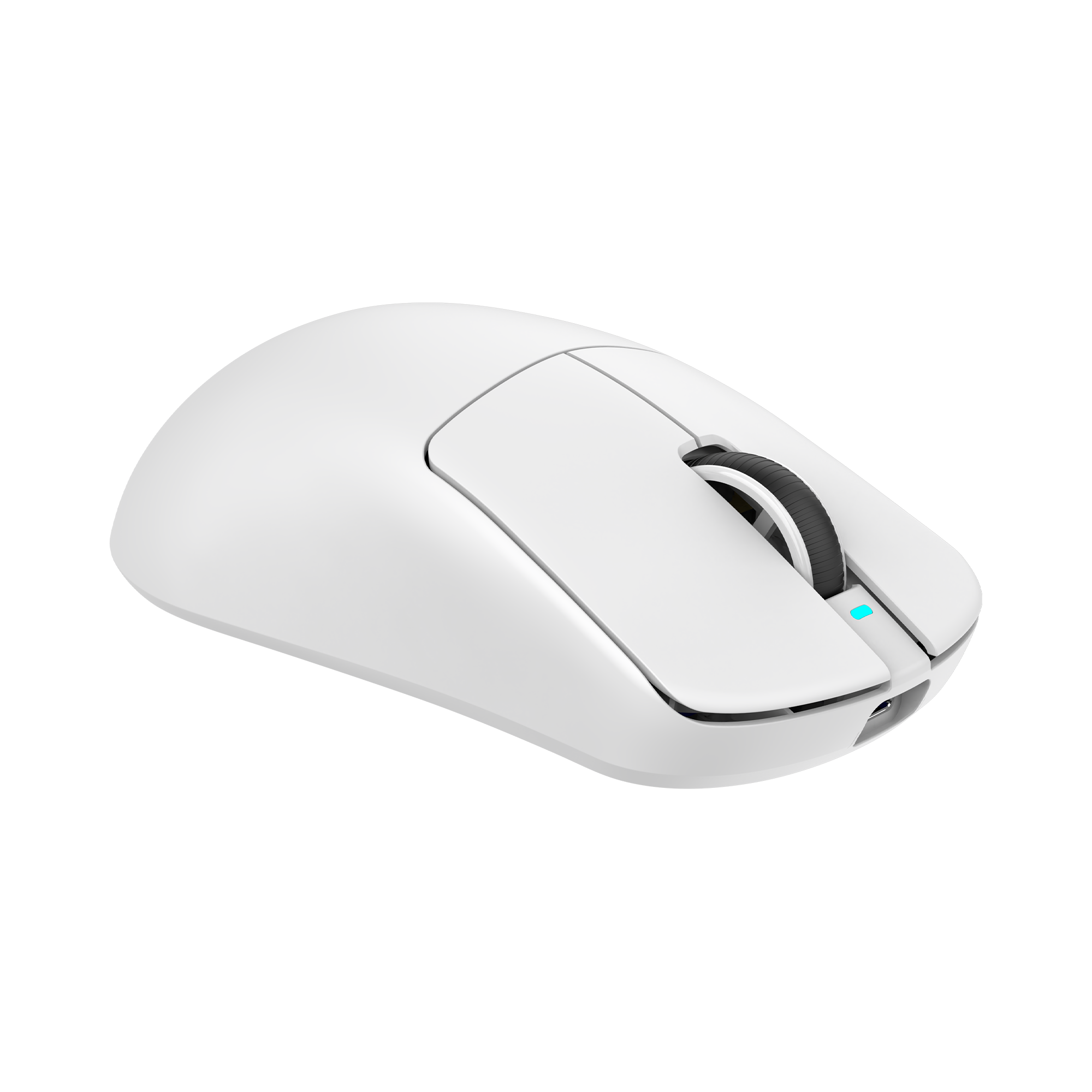 Mis_White_Shark_Bors_WGM_5021,_Bijeli_5.png