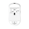 Mis_White_Shark_Bors_WGM_5021,_Bijeli_6.png