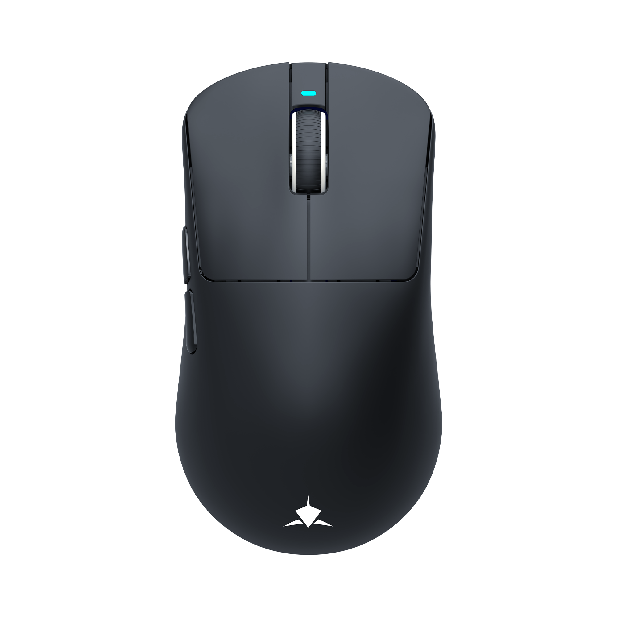 Mis_White_Shark_Bors_WGM_5021,_Crni_1.png