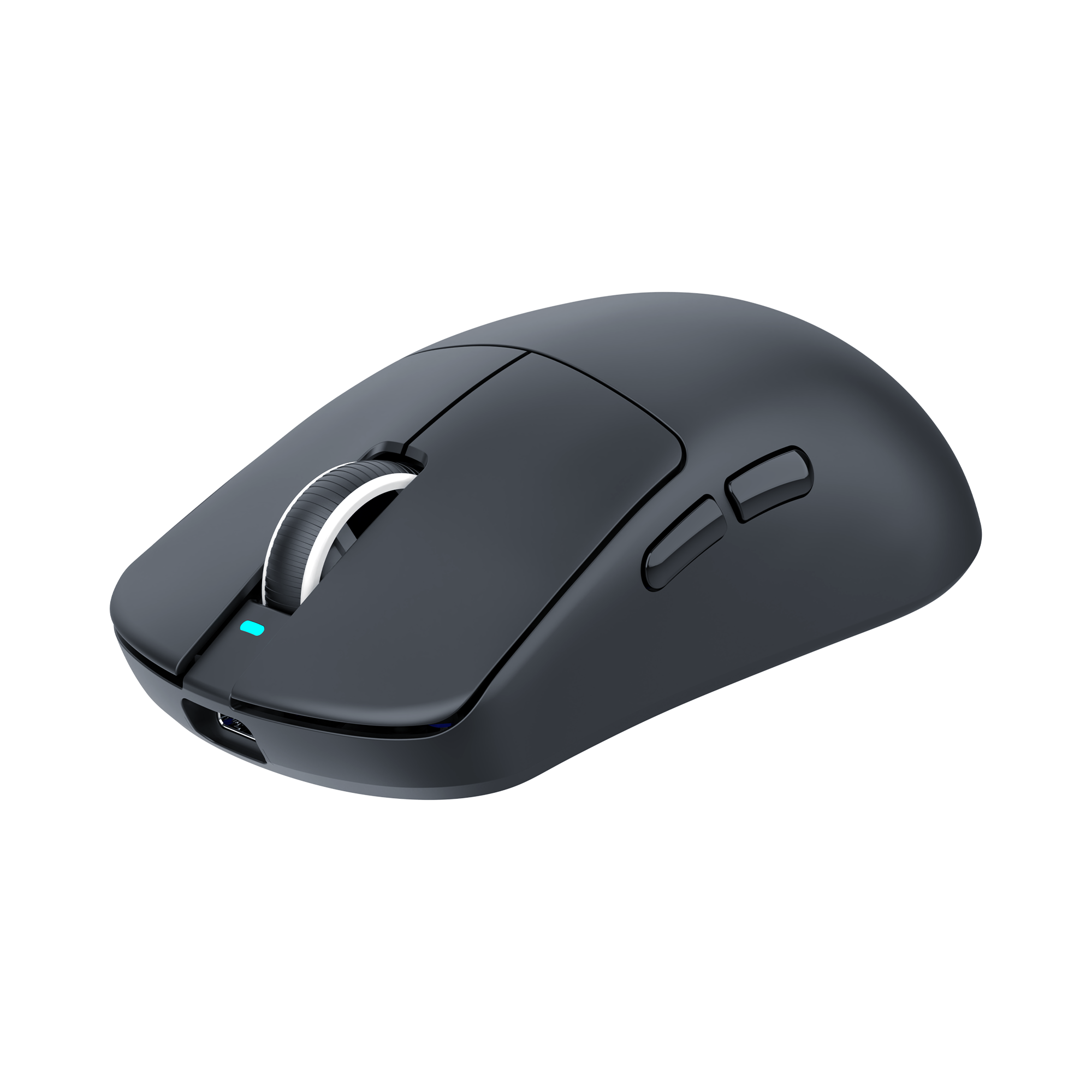 Mis_White_Shark_Bors_WGM_5021,_Crni_2.png