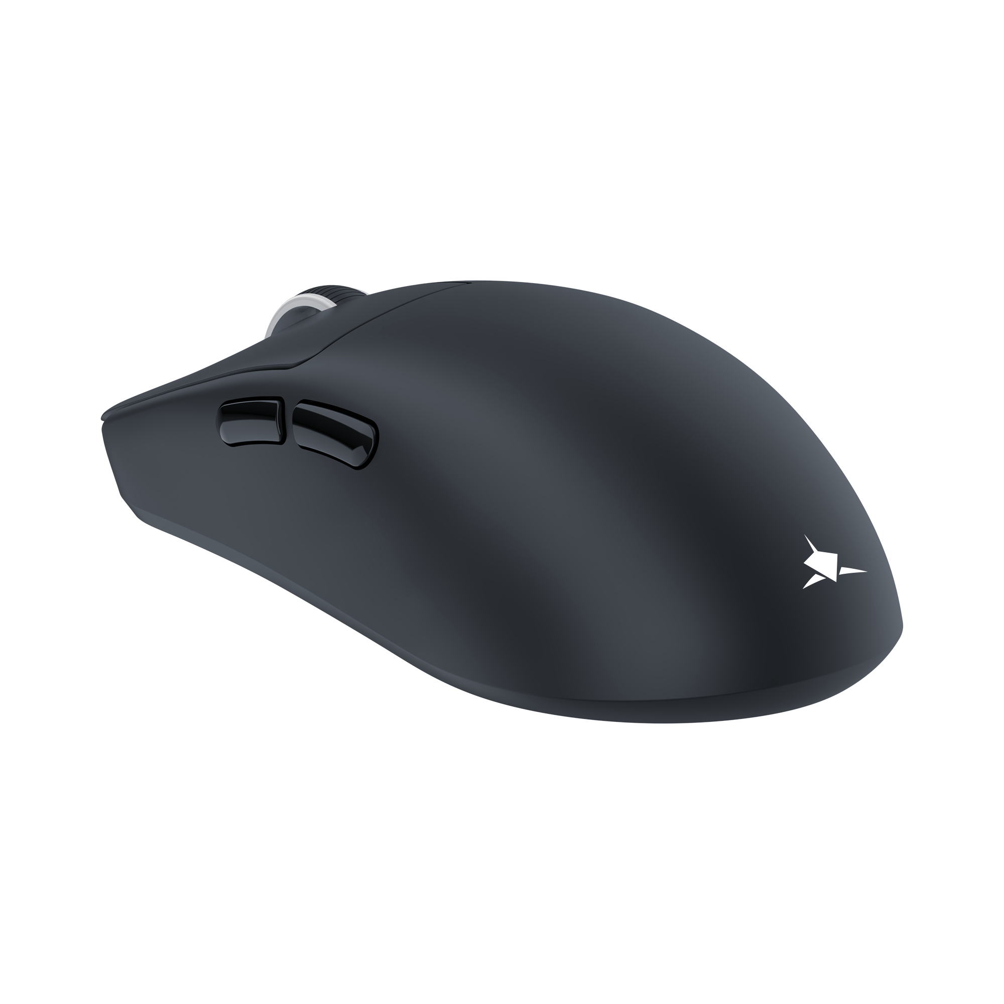 Mis_White_Shark_Bors_WGM_5021,_Crni_3.png