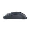 Mis_White_Shark_Bors_WGM_5021,_Crni_4.png