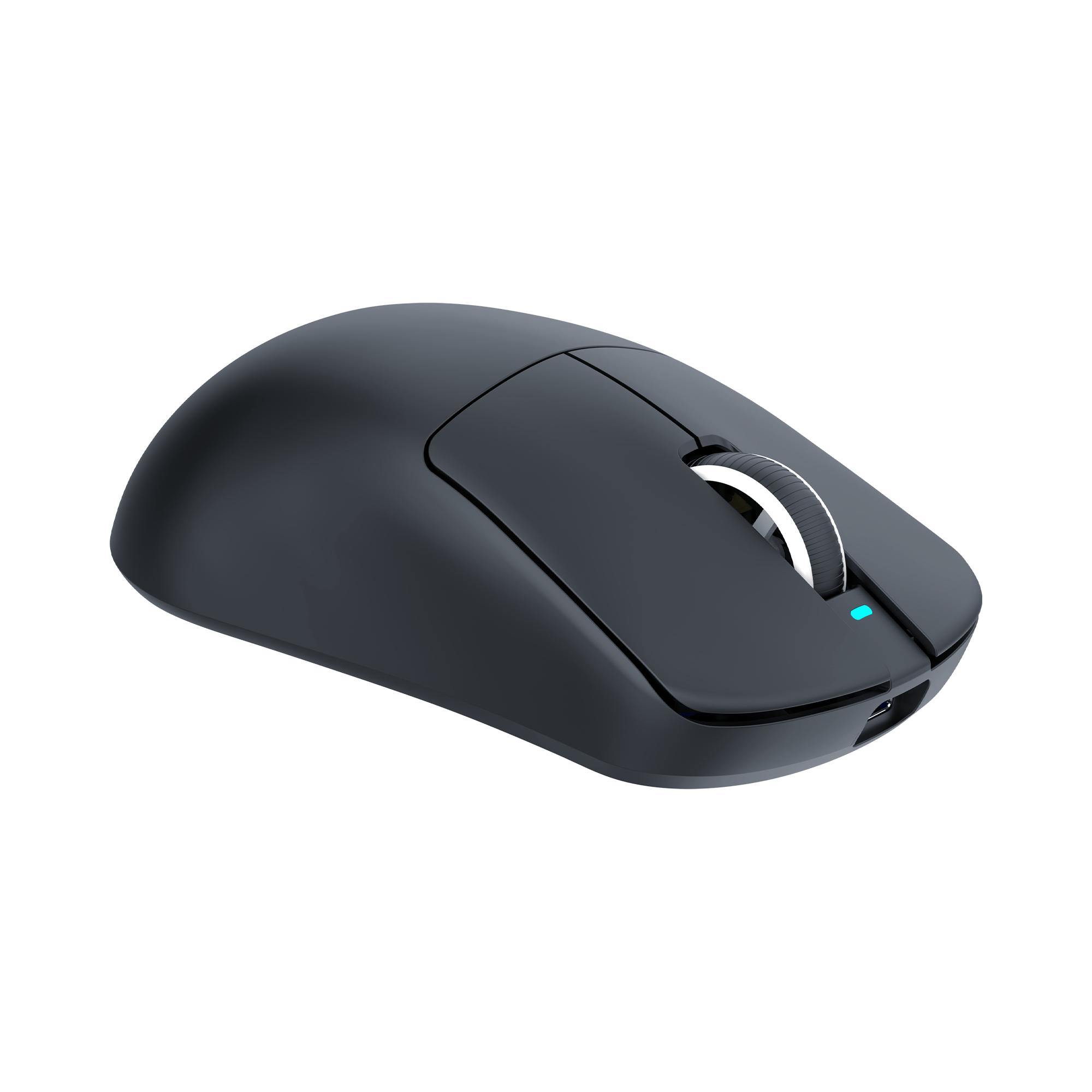 Mis_White_Shark_Bors_WGM_5021,_Crni_5.png