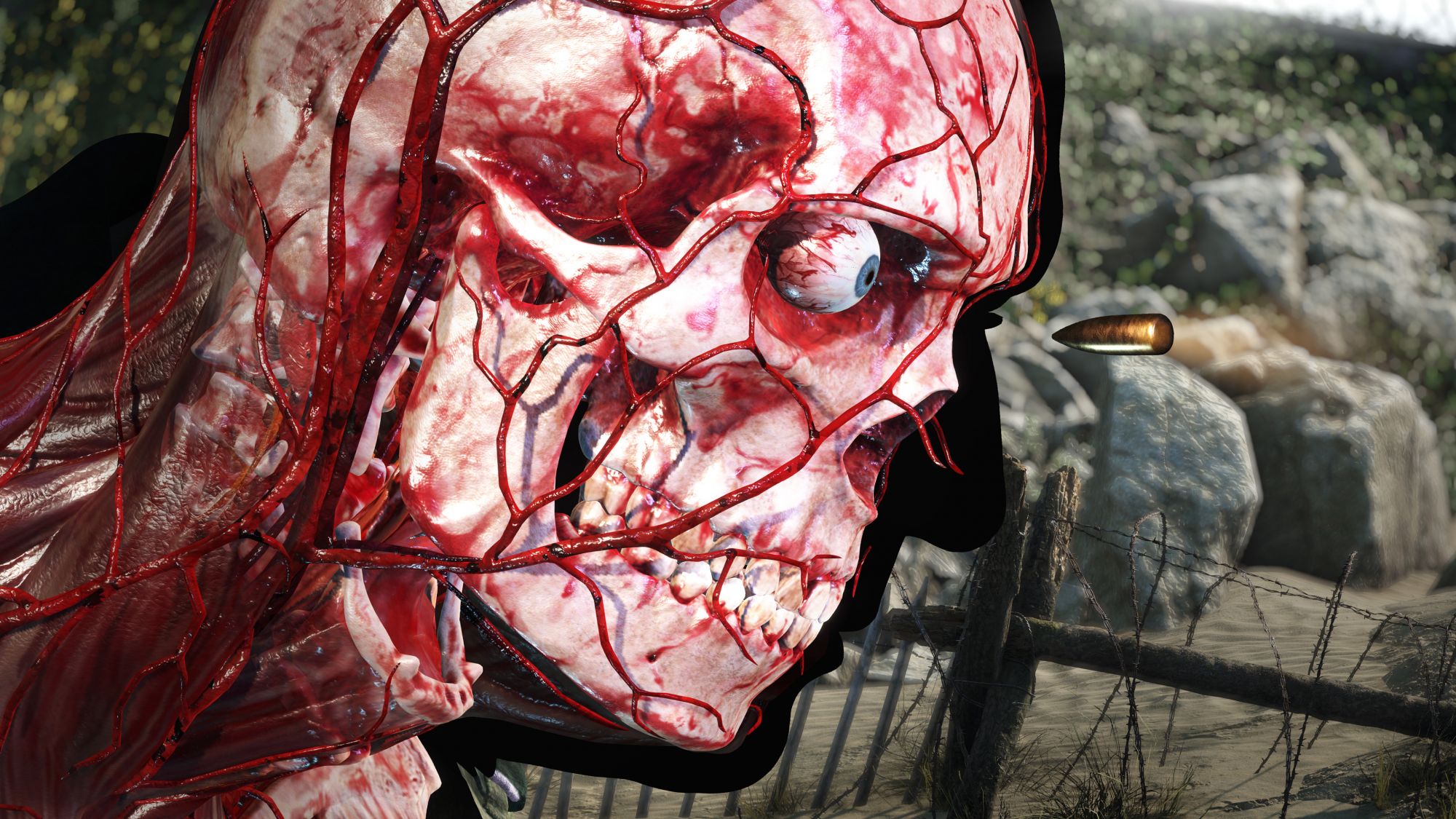 Sniper_Elite_5_(Playstation_4)_4.jpg