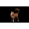 Beast_Of_Reincarnation_(Playstation_5)_2.png