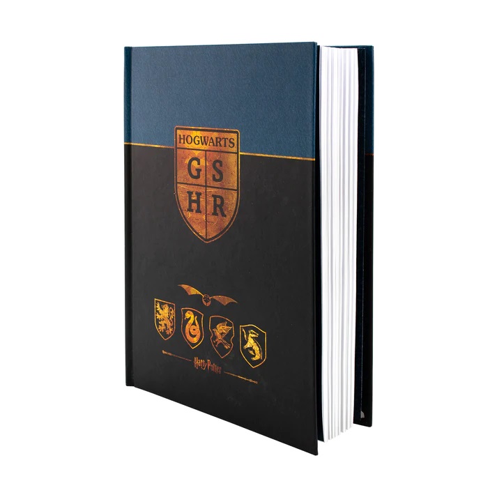 Biljeznica_Blue_Sky_Harry_Potter_A5_Premium_Notebook_1.jpg