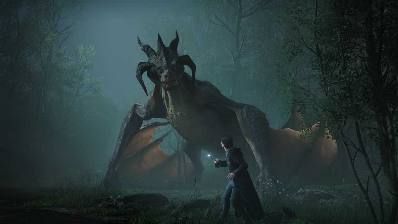 Hogwarts_Legacy_(Playstation_4)_2.jpg