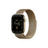 PREDNARUDZBA_Pametni_sat_Apple_Watch_S12_Cellular_42mm_Radiant_Gold_Titanium_Case_with_Radiant_Gold_Milanese_Loop_0.jpeg