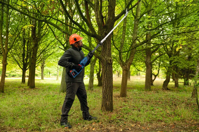 Aku_teleskopske_skare_za_orezivanje_Bosch_Professional_GGP18V_45_EP_(06008D8002)_5.png